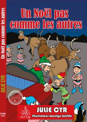 Un Noël pas comme les autres